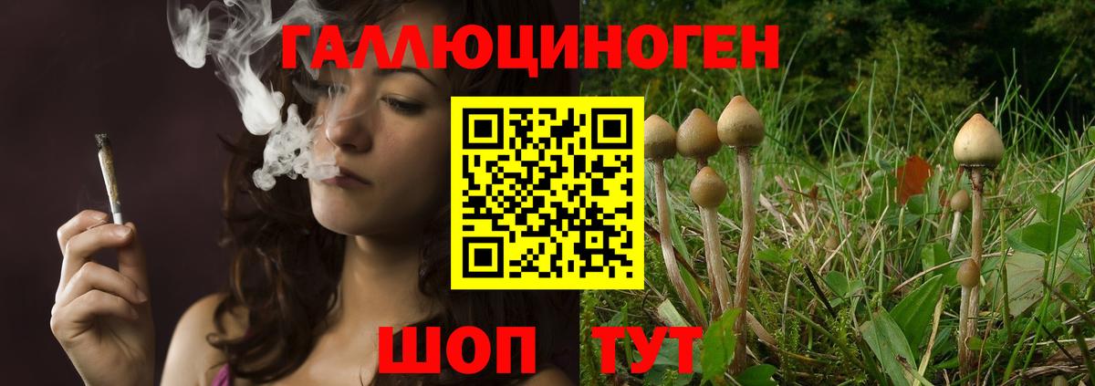 Асбест  Псилоцибиновые грибы MAGIC MUSHROOMS  Вход с VPN 